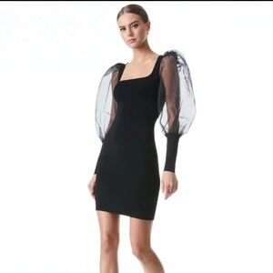 Alice + Olivia Abella Puff Sleeve Square
Neck Dress M